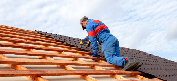 Best Metal Roofing Installation  in Dundee, MI