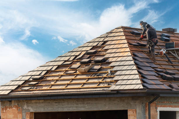 Best Sheet Metal Roofing  in Dundee, MI