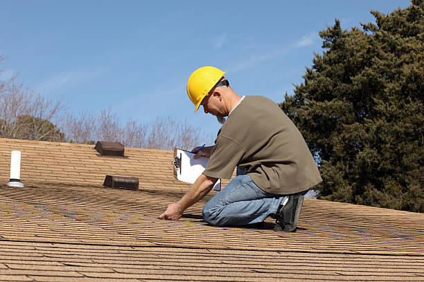 Best Roof Insulation Installation  in Dundee, MI