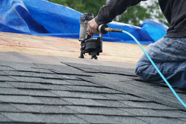 Best Commercial Roofing Services  in Dundee, MI