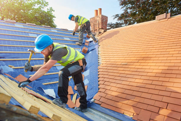 Best Roofing for New Construction  in Dundee, MI